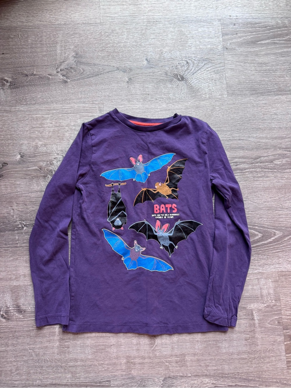 Mini Boden Bats Halloween Shirt